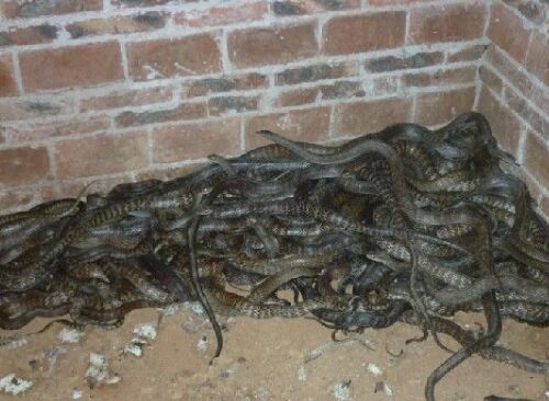 JDB电子游戏官网