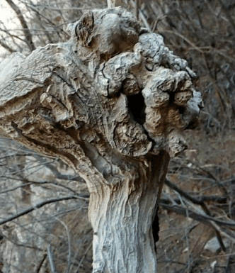 让普通消费者和职业打假人一样惹不起【JDB电子】(图1) JDB电子游戏官网