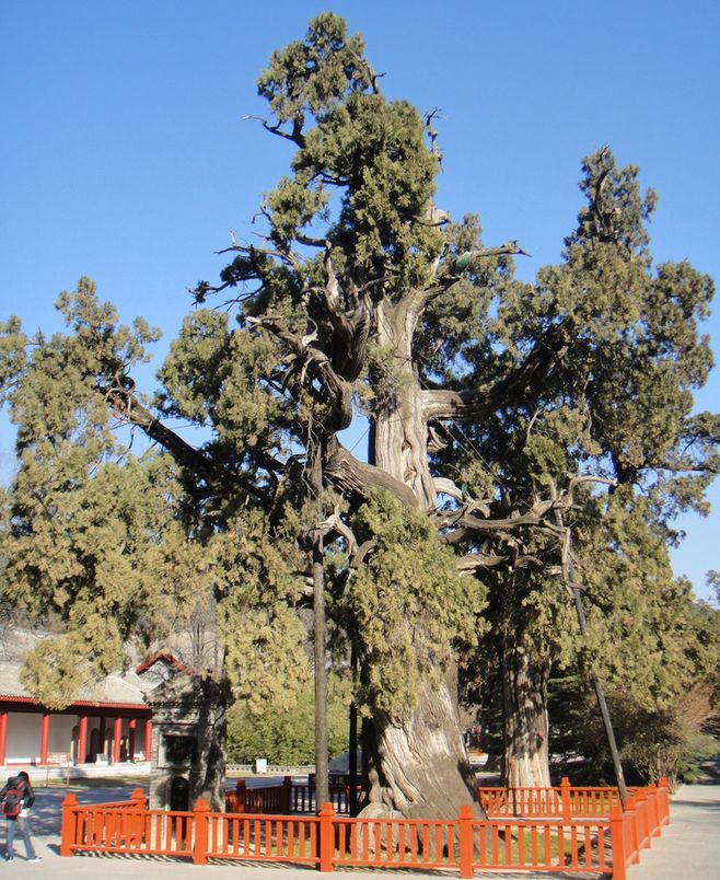 国际刑事法院将下达成立以来首例判决“JDB电子”(图3) JDB电子试玩网页版