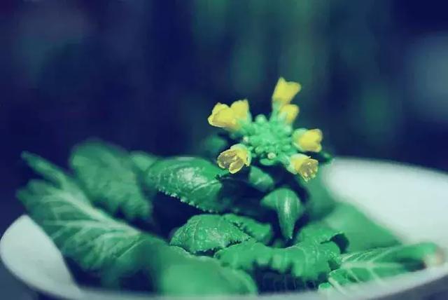 “JDB电子游戏官网”前南刑庭敦促塞黑政府引渡战犯(图3) JDB电子