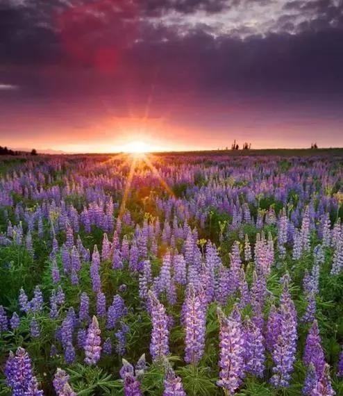 JDB电子_辞职可能要赔钱!(图2) JDB电子试玩网页版