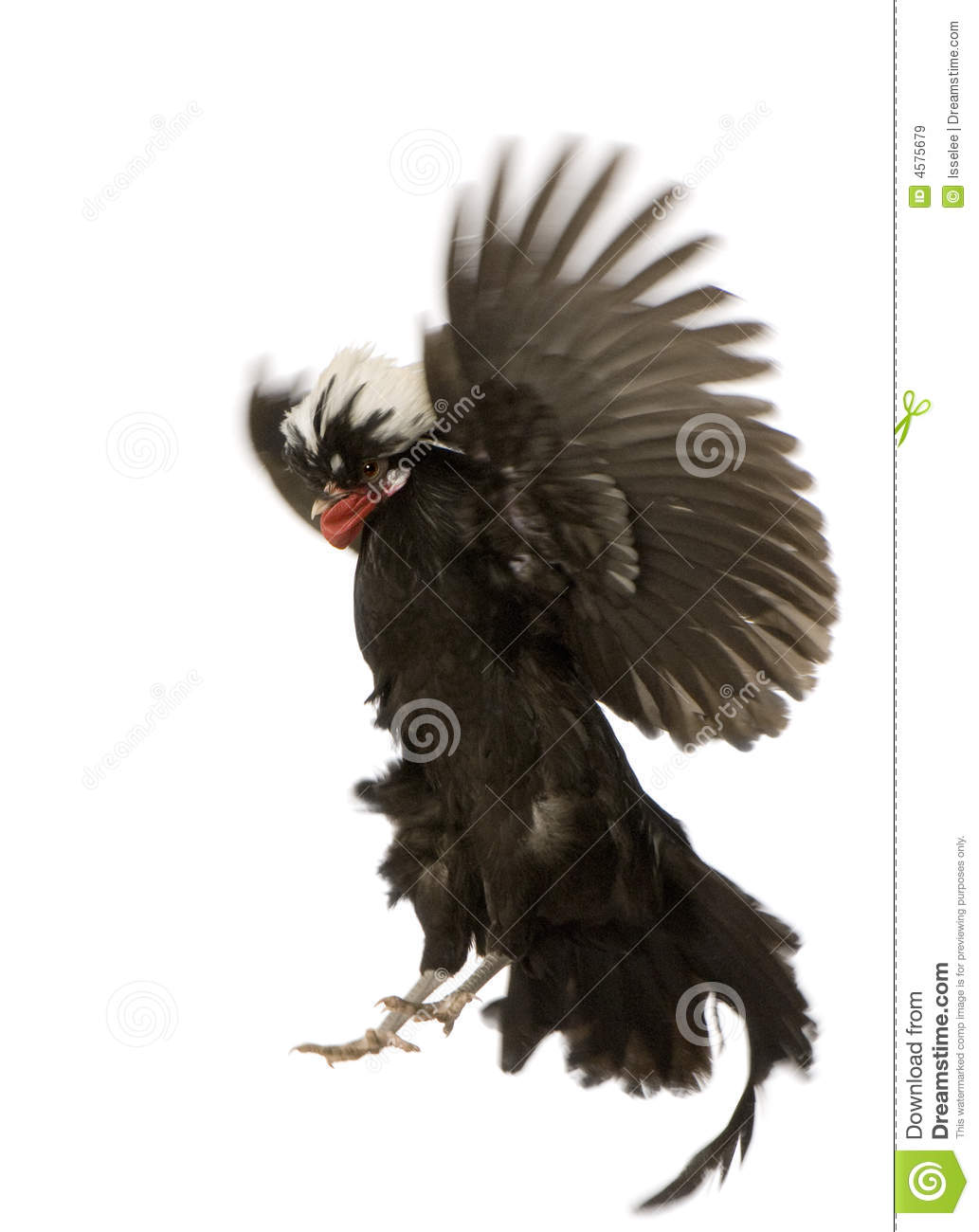 JDB电子试玩网页版