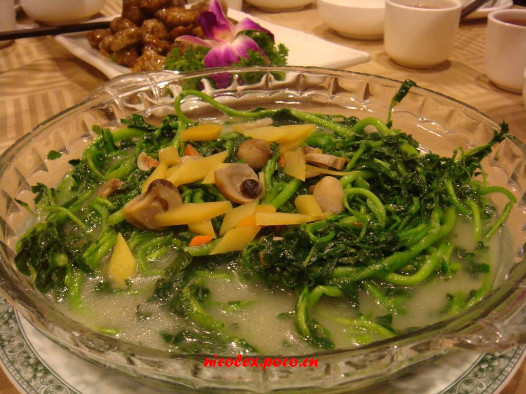 JDB电子游戏官网