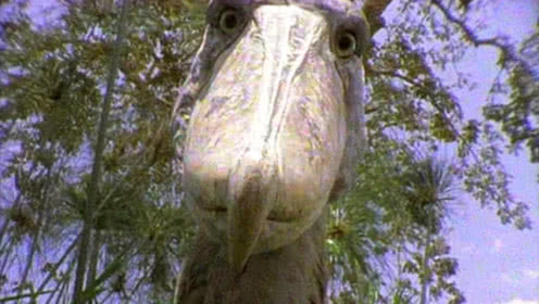 JDB电子试玩网页版