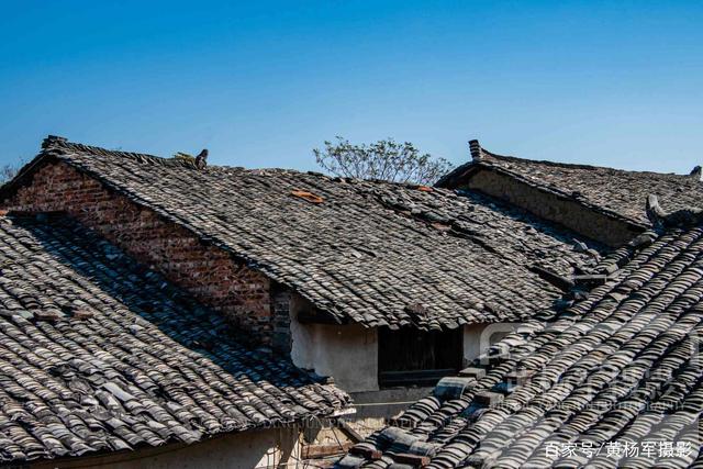 JDB电子游戏官网