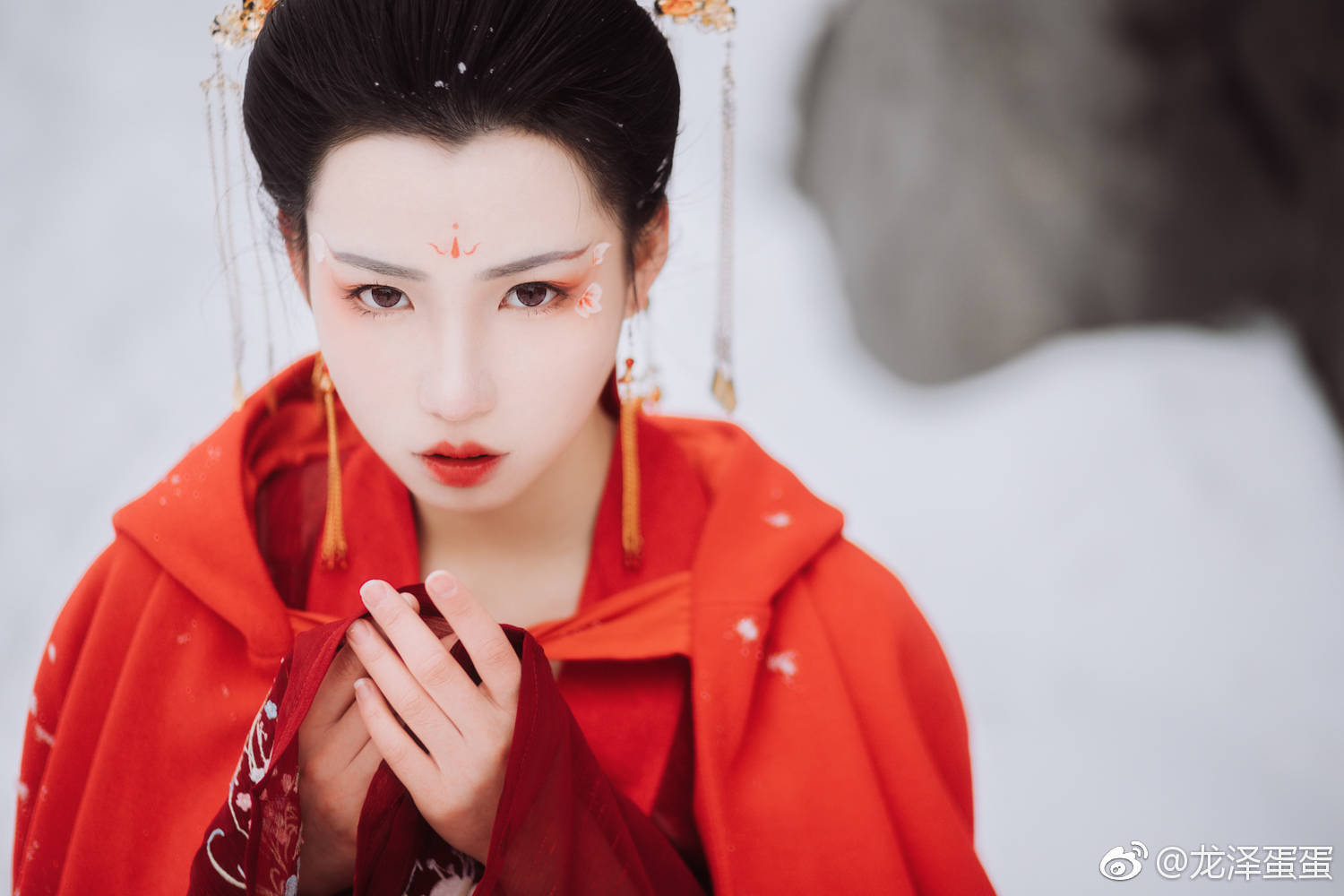 湖南侦破贩卖野生动物大案 摧毁横跨六省市非法交易网络【JDB电子游戏官网】(图3) JDB电子游戏官网