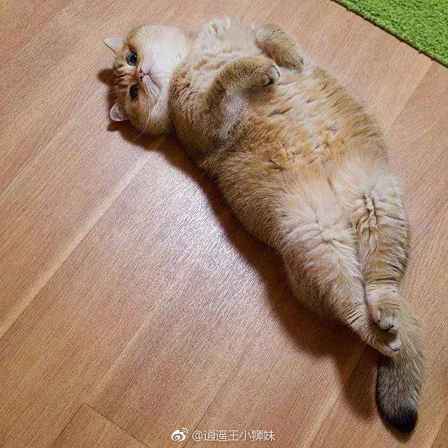 “JDB电子游戏官网”艾滋病规划署发布保护艾滋病信息暂行准则(图2) JDB电子