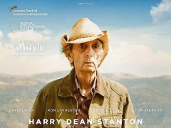 宠物殡葬火热 现监管“灰色地带”-JDB电子(图1) JDB电子试玩网页版