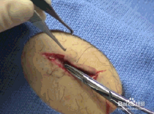 东阳2人上榜!2020年度浙江省社会组织领武士物出炉【JDB电子游戏官网】(图5) JDB电子试玩网页版