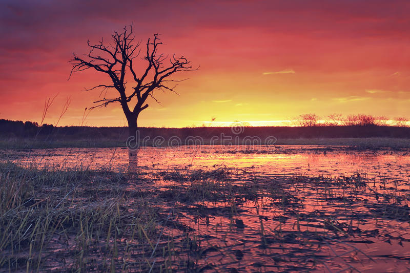 两高司法解释:篡改环境自动监测数据将获刑:JDB电子(图3) JDB电子试玩网页版