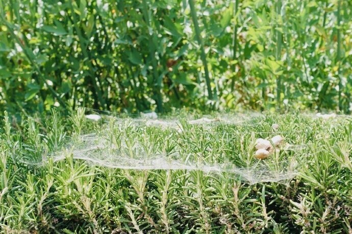 律师解答|被执行人死亡 能否执行死亡赔偿金?_JDB电子试玩网页版(图1) JDB电子游戏官网