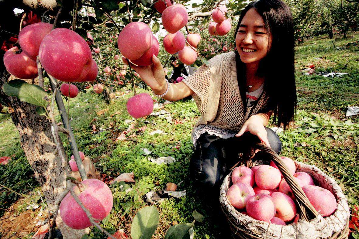 JDB电子试玩网页版