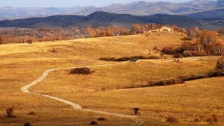 JDB电子游戏官网