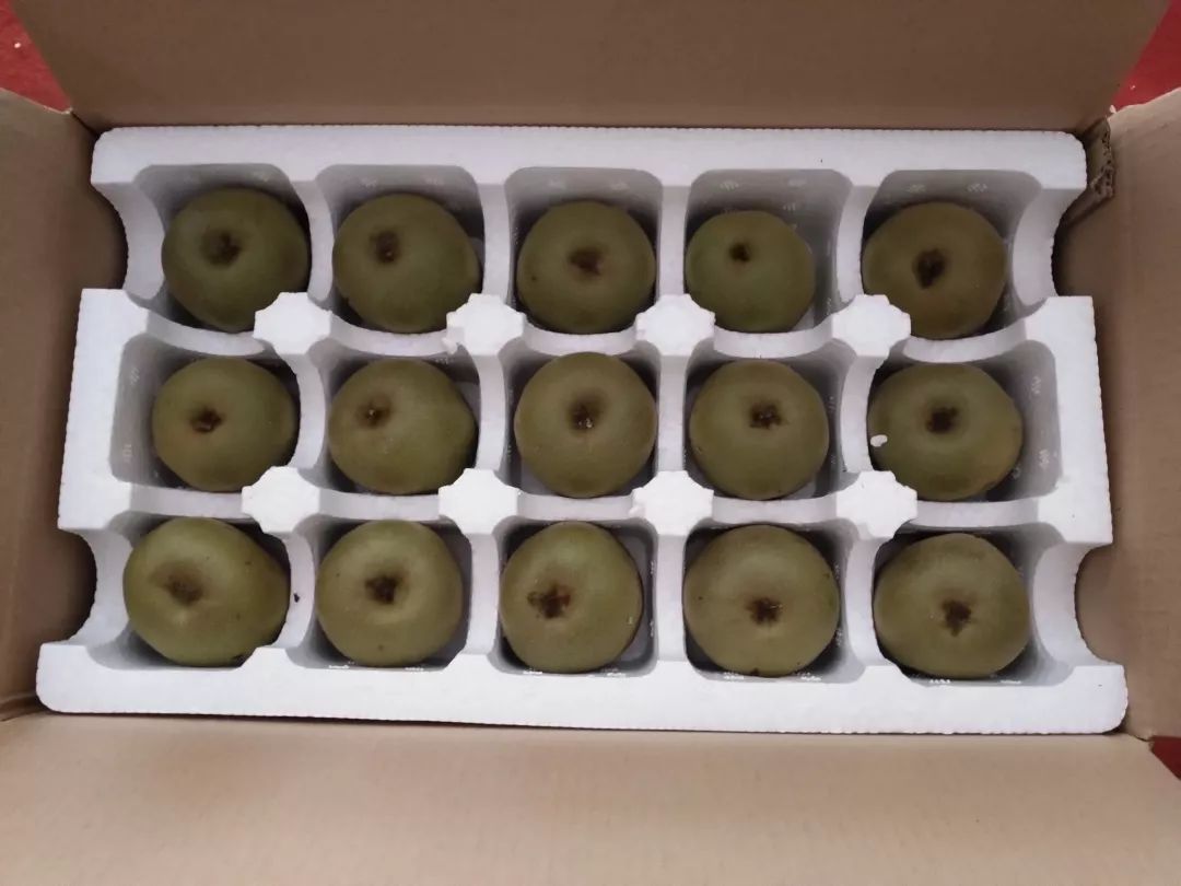 JDB电子游戏官网