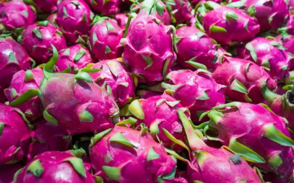 JDB电子游戏官网