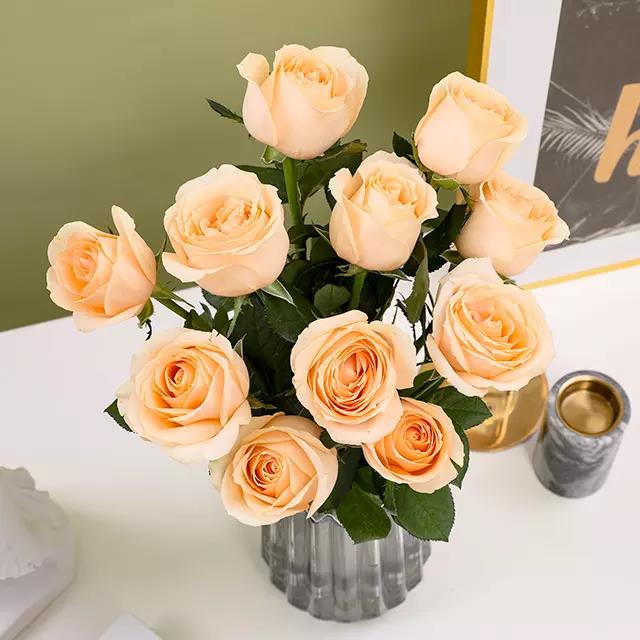 JDB电子试玩网页版