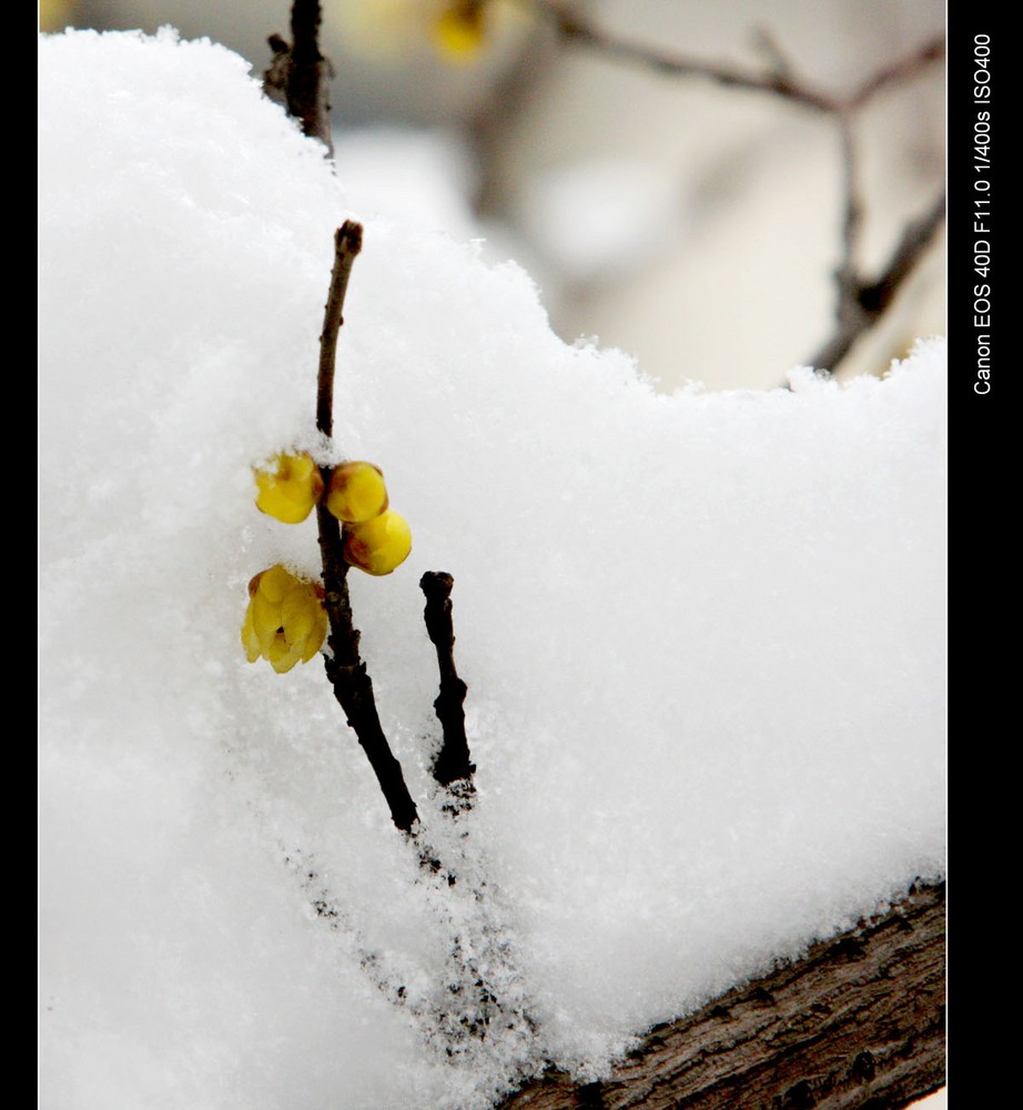 JDB电子试玩网页版