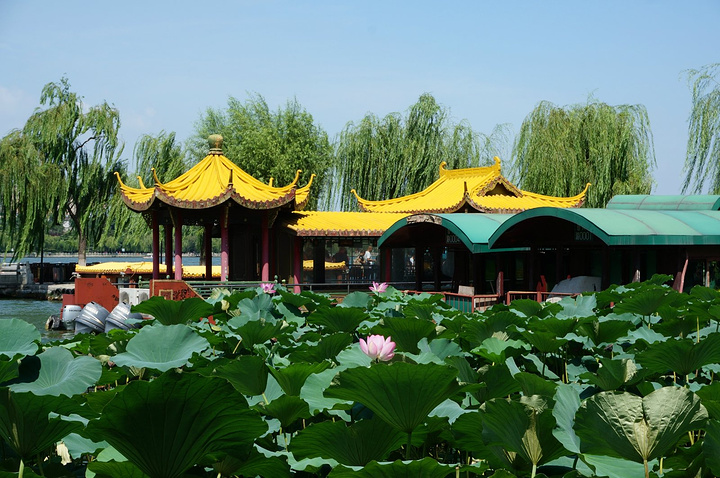 JDB电子试玩网页版_光线抢注哪吒商标 抢注商标是否违法?(图2) JDB电子