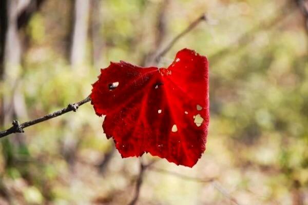 JDB电子游戏官网:用大数据看牢“救命钱”(图2) JDB电子试玩网页版