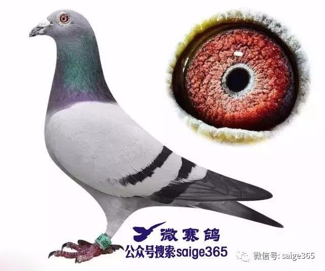 JDB电子游戏官网