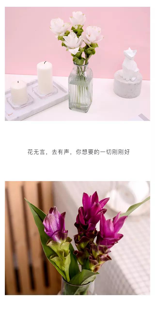 JDB电子游戏官网