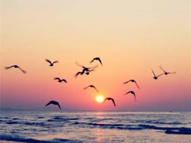 JDB电子试玩网页版