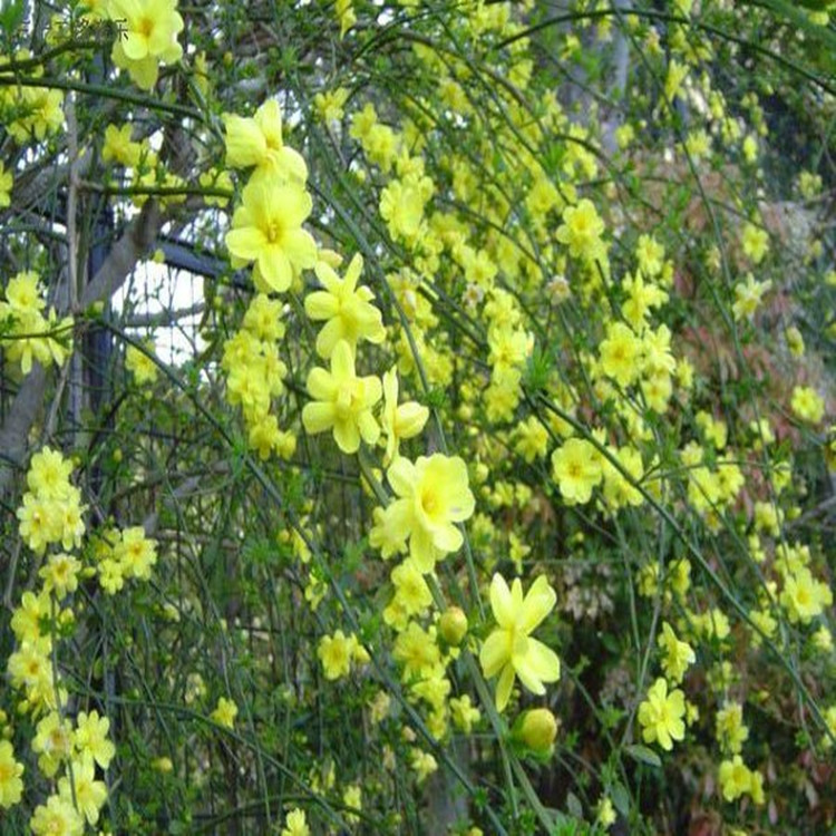 “JDB电子游戏官网”农业污染超工业,美丽中国怎么建(图1) JDB电子游戏官网