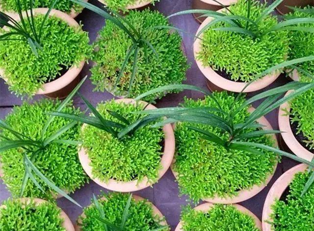 JDB电子试玩网页版