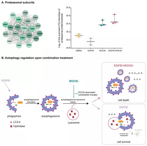 设女神专享车位,还需精细化管理“JDB电子试玩网页版”(图1) JDB电子游戏官网