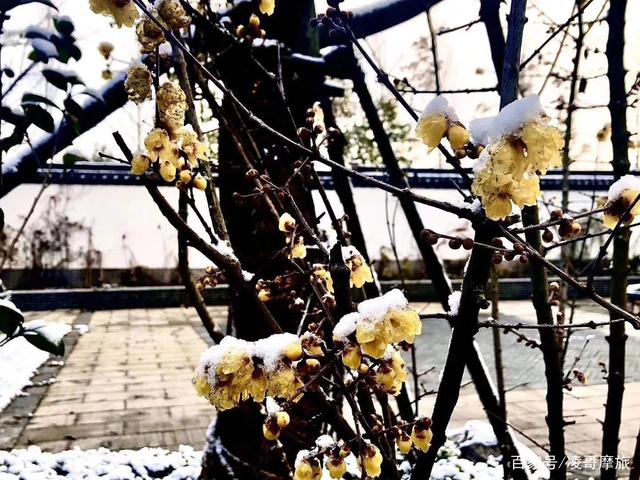 JDB电子游戏官网