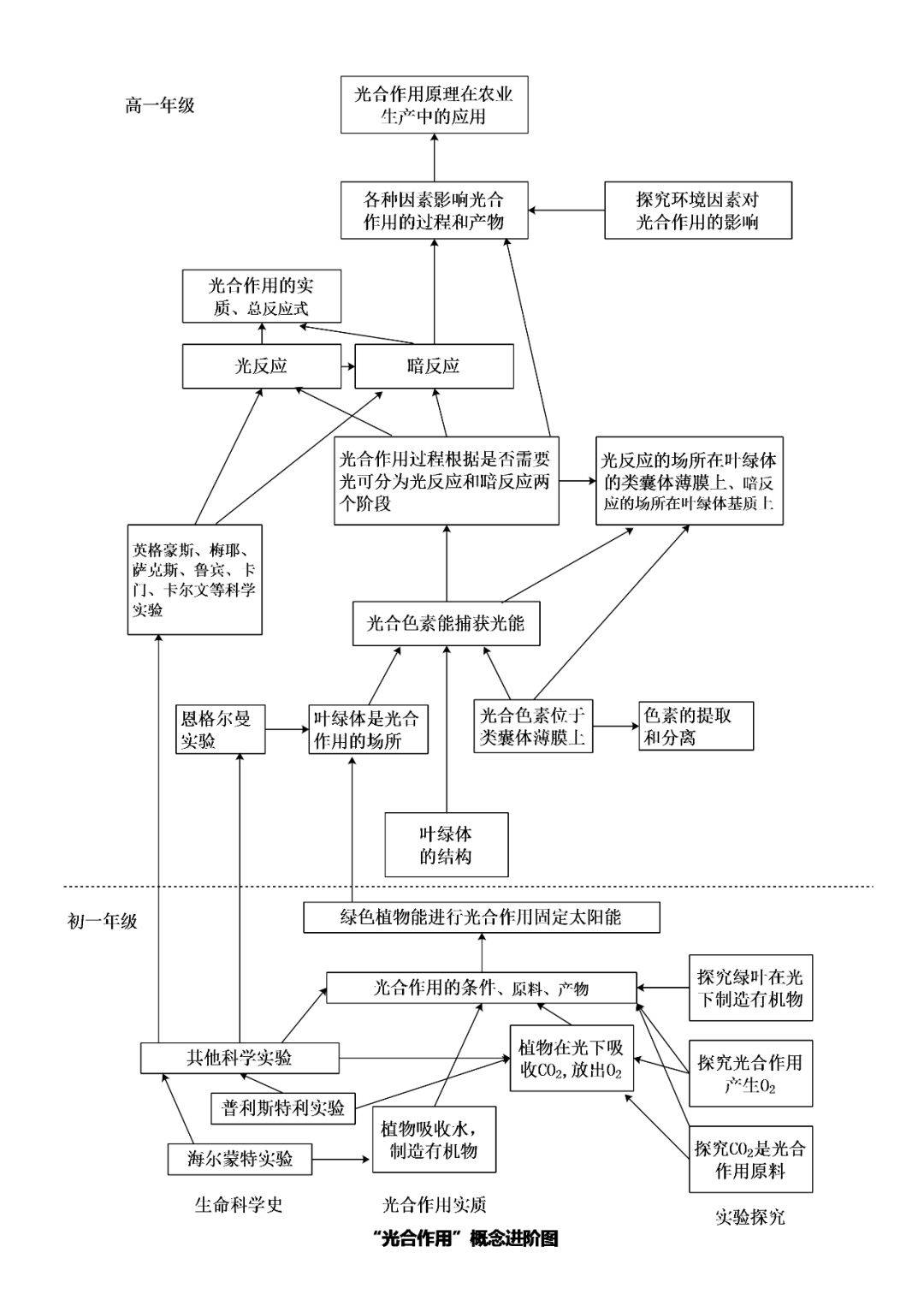 
生物学观点进阶图的要素及其绘制‘JDB电子试玩网页版’(图3)